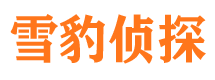 正宁外遇出轨调查取证